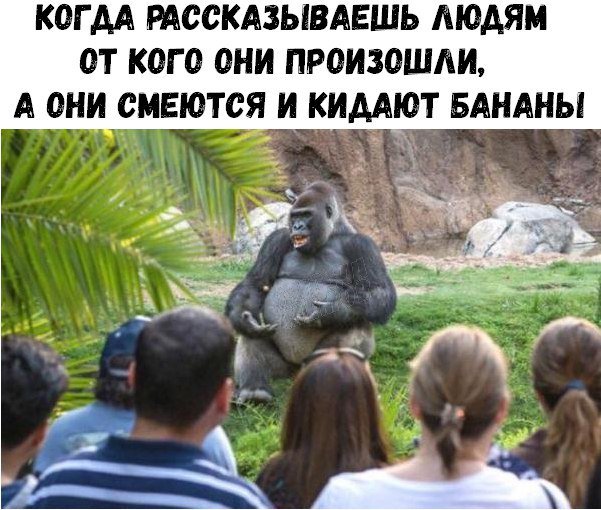 Приколы в стиле "регресс"