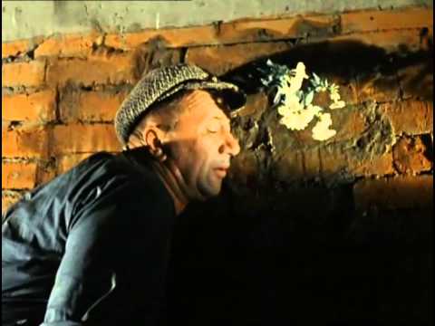 Как я пытался класть камень на стену в парилке