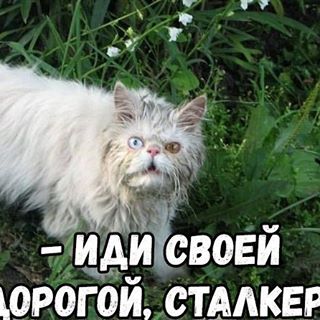 Фоторепортаж о недостроенной и заброшенной АЭС