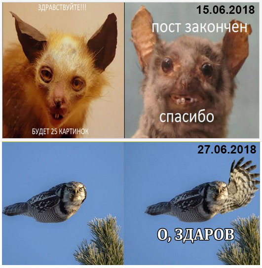 Прикольные картинки.