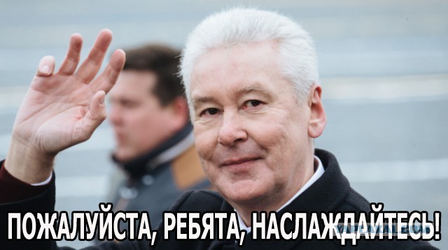 «Спасибо за корочку на острых крылышках»: в Твиттере стали хвалить Собянина за всё подряд