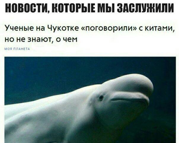 Коротко обо всём