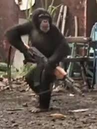 В Воронеже водитель решил пострелять из машины на ходу