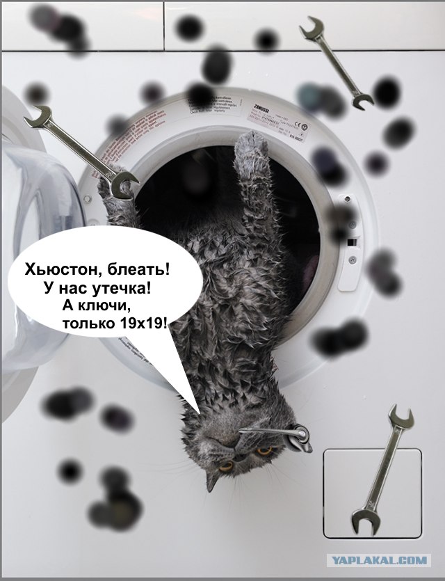 Хозяин - ты сцуко!