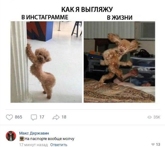 Нестандартный юмор