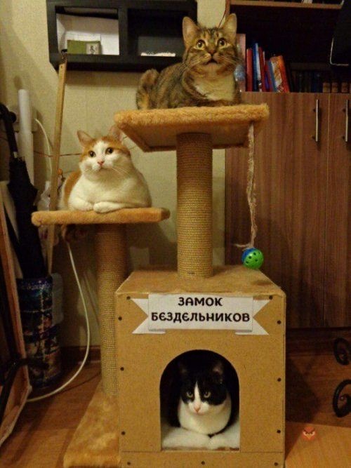 Фото и картинки с надписями