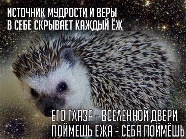 Немного картинок для настроения