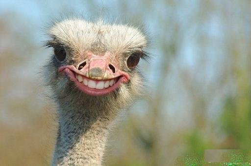 Ну что тут у вас?