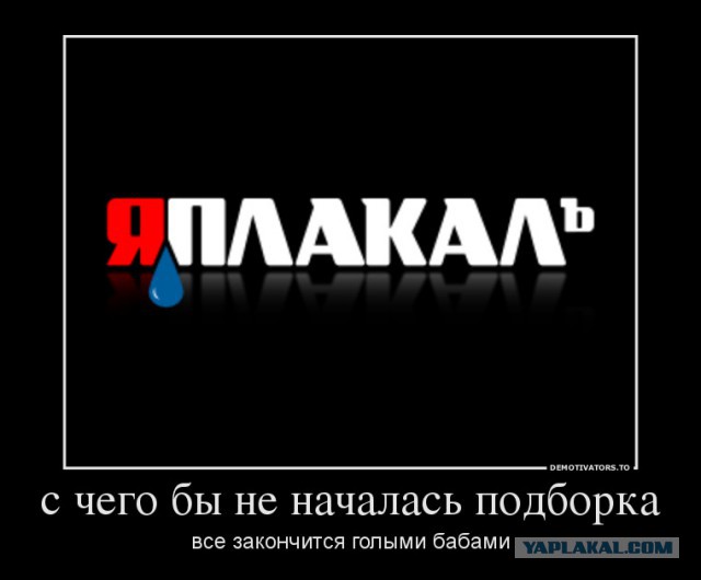 Подборка интересных и веселых картинок