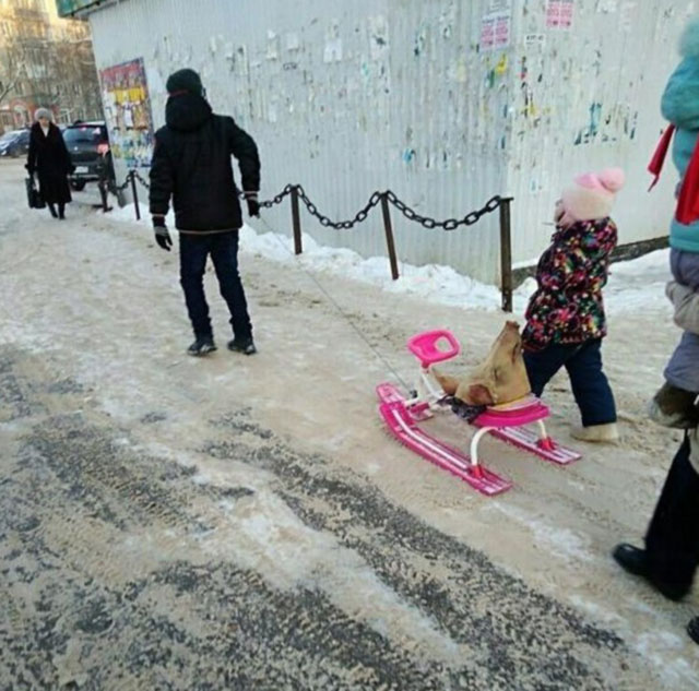 И всё-таки она наша. Лента картинок
