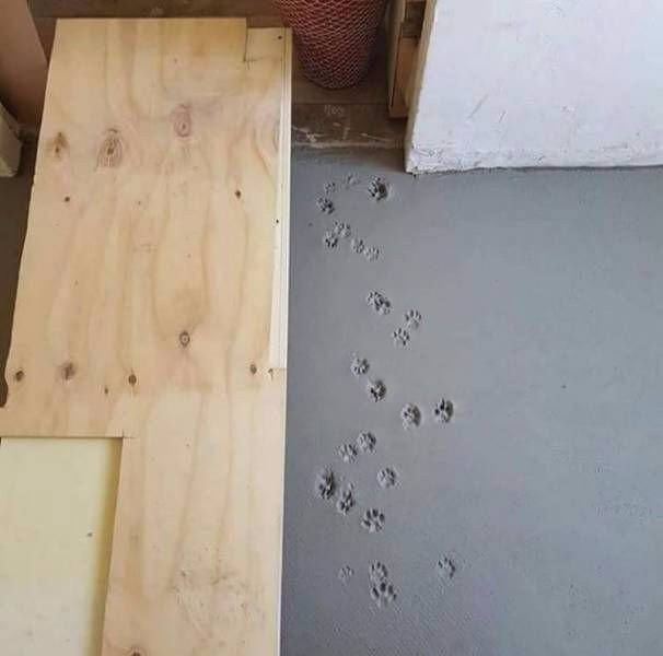 WTF: что тут происходит?