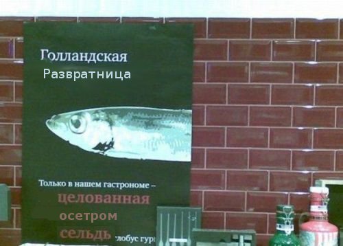 Голландская девственница