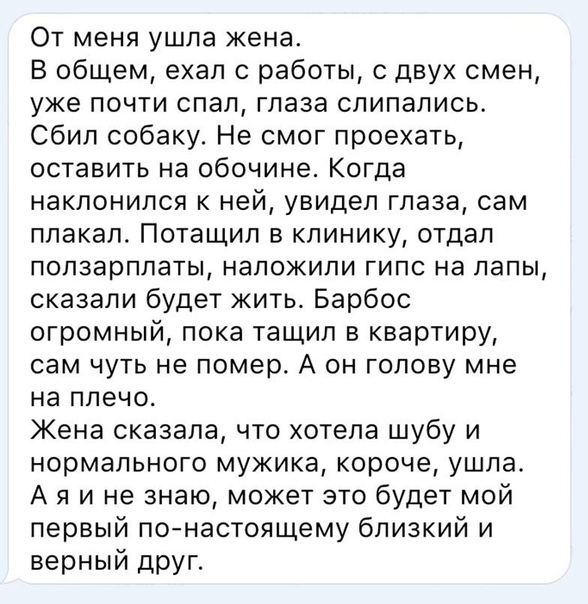 Немного картинок для настроения 18.01.20