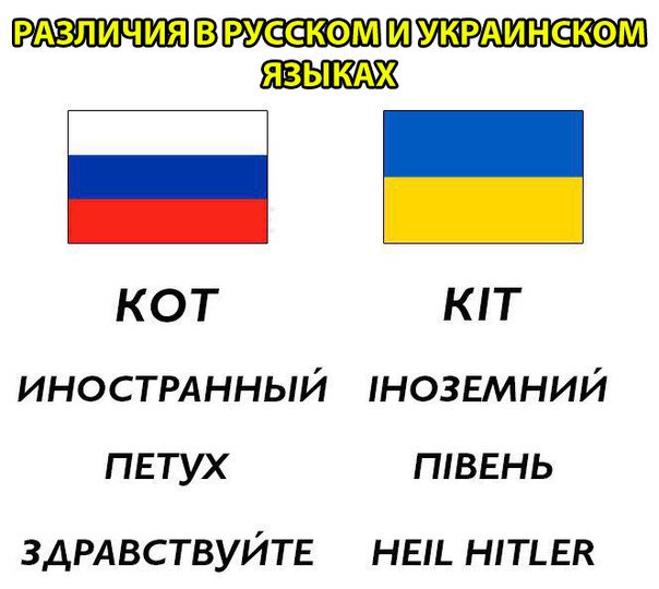 ЦРУ опубликовало архивные документы об «агенте Гитлера» Степане Бандере