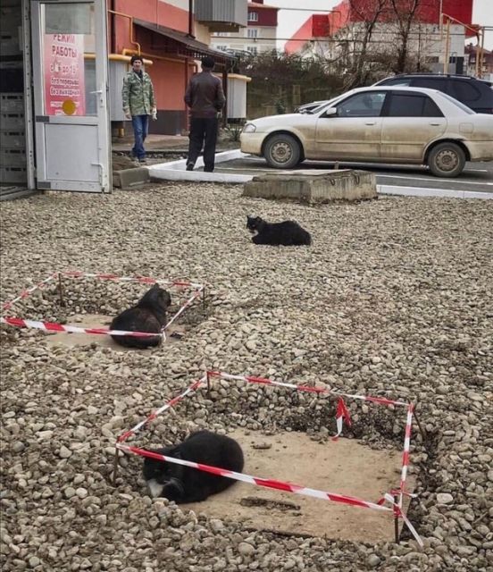 Бредзона 31.05.20