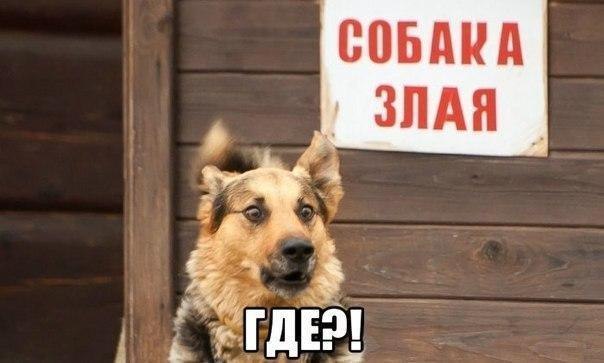 Так себе картинки 01.06.20