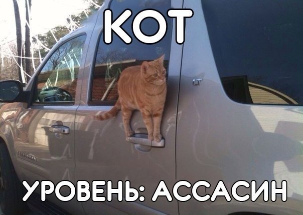 Чуток картинок 20.07.20