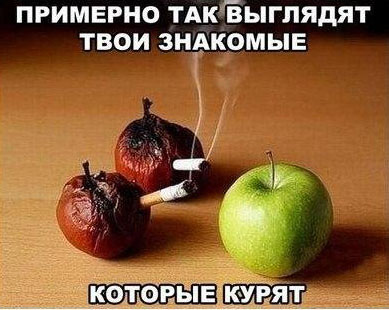 Прикольные и просто красивые картинки 22.07.2020