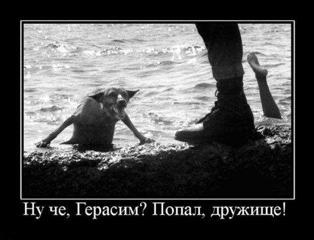 Подборка баянистых картинок