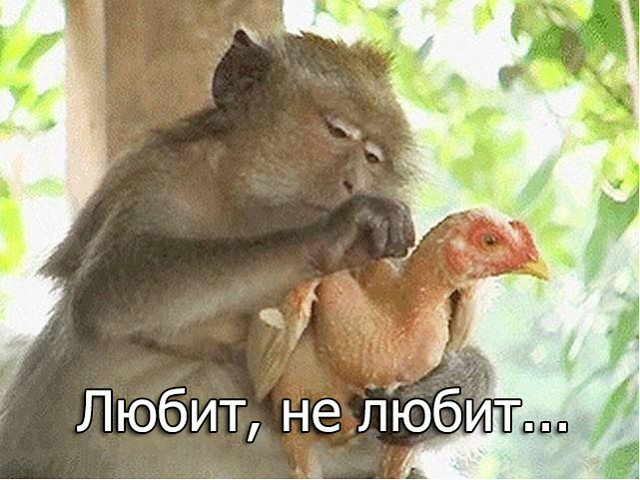 Бредзона 23.11.20