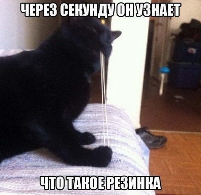 Картинки и мемы для настроения 008