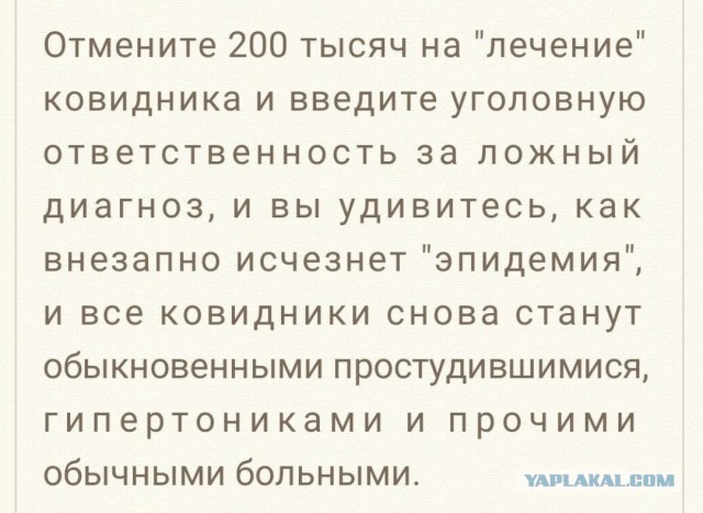 Гинцбург поддержал идею введения «ковидных паспортов»