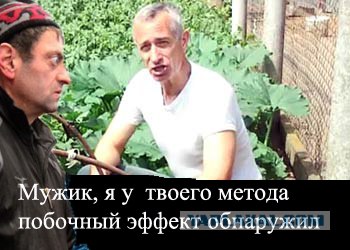 Фотожаба: Приставы и страховщики.