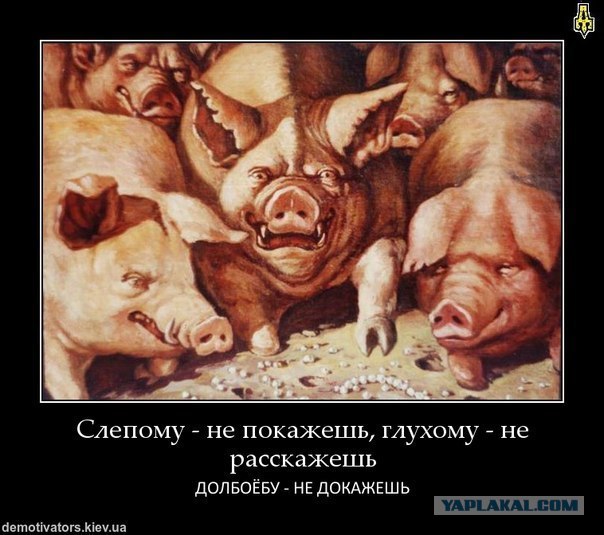 Пешеход vs водила