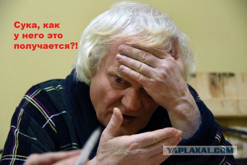 Черныш красавчик