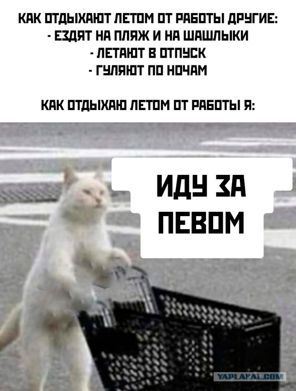 Картинки и мемы, всем хороших выходных