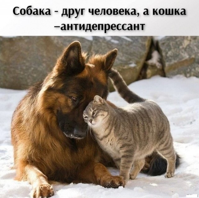 Картинки и мемы, всем хороших выходных