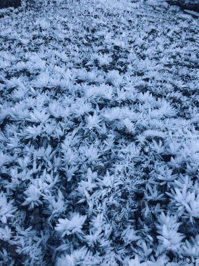 Немного чего-то удивительно из мира природы