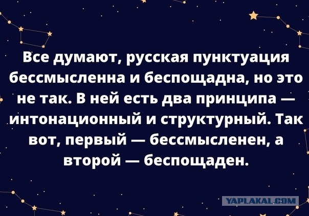 Так себе картинки 17.11.22