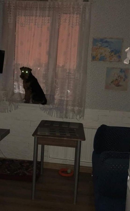 Такая вот беда у человека