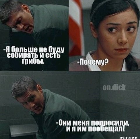 Новая пасхалка от Google