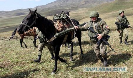 Особенности местного колорита: На военном параде в Индии показали 81мм миномет, установленный на верблюде
