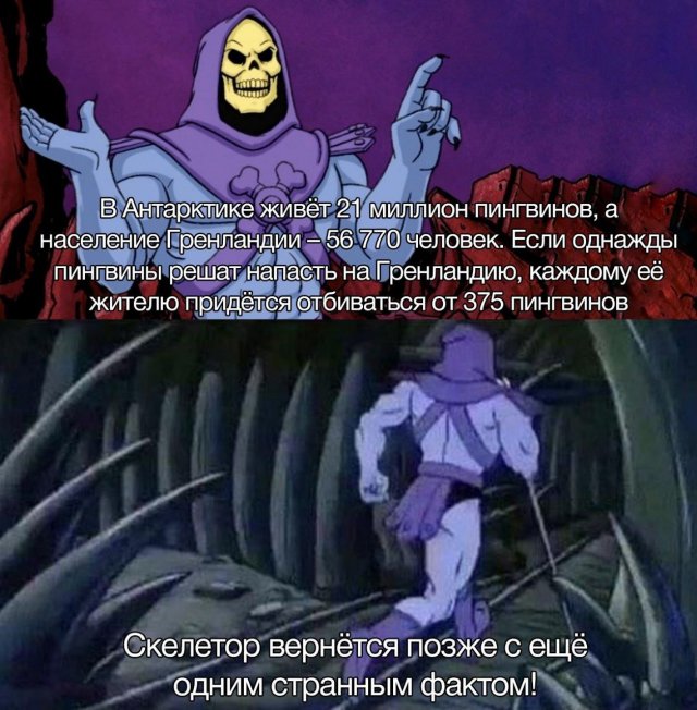 Немного картинок для настроения - 137