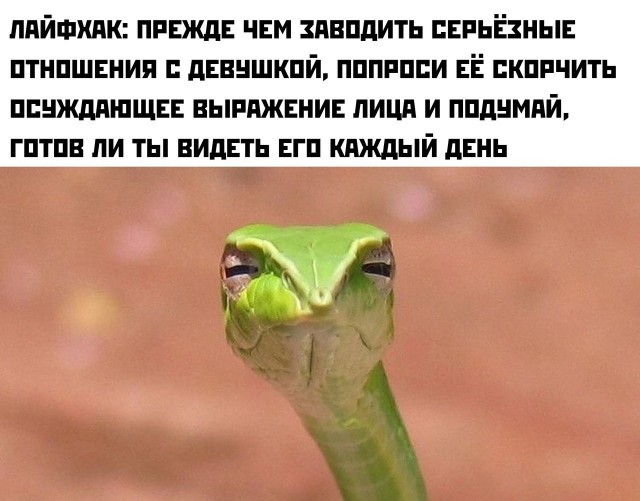 Картинки и мемы, всем хороших выходных