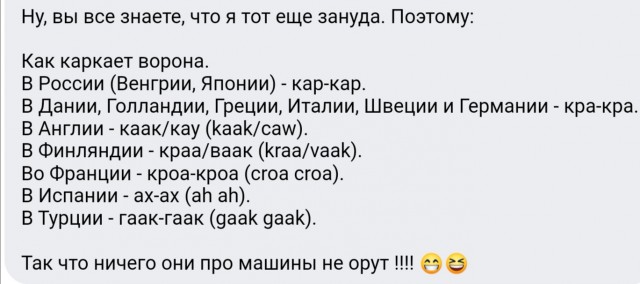 Весёлый полтишок 18.04.23