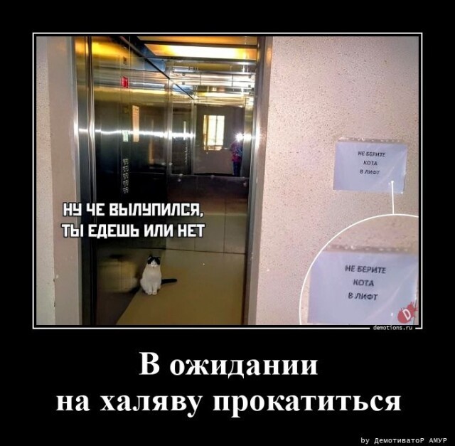 Немного картинок 07.05.23