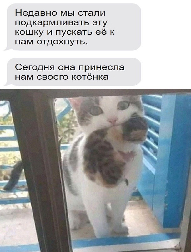 Картинки и мемы для настроения - 187