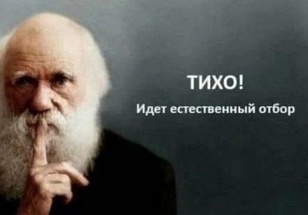Смари, как могу