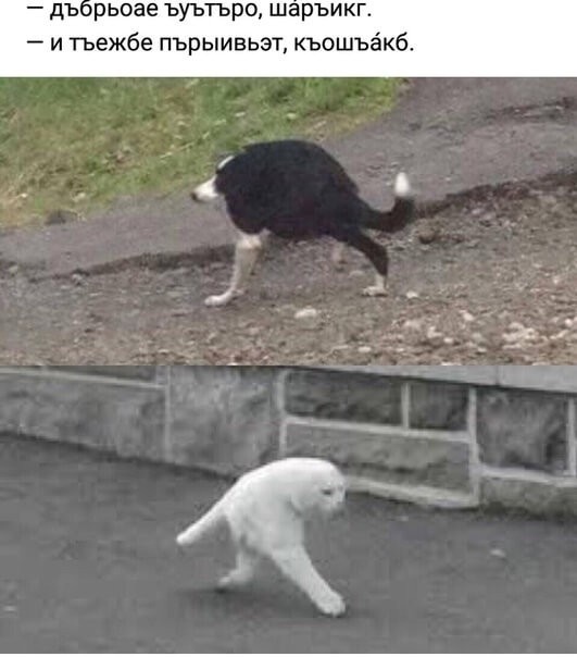 Год назад. Доклад ООН про изменение климата: худшее впереди