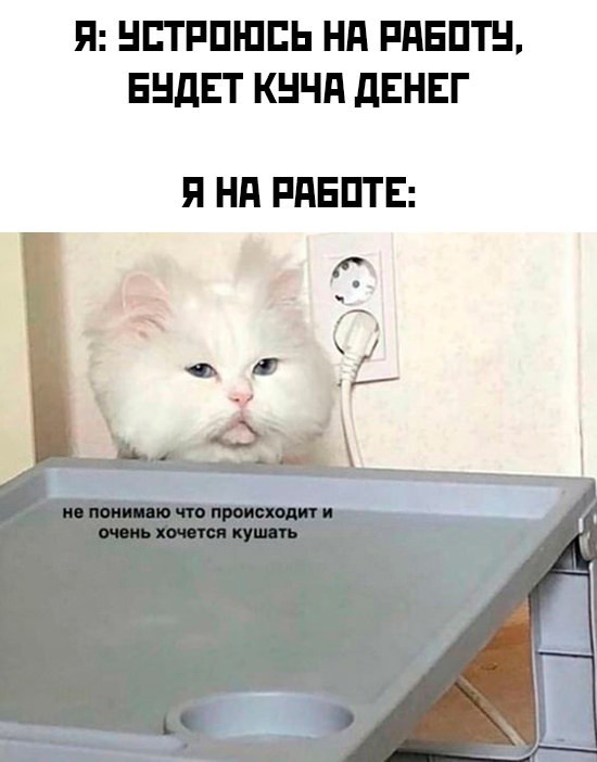 Так себе картинки 05.08.23