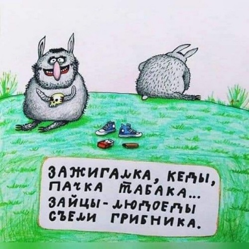 Скупка краденого из сети 09-08-2023