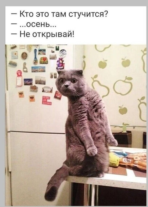 Осень золотая