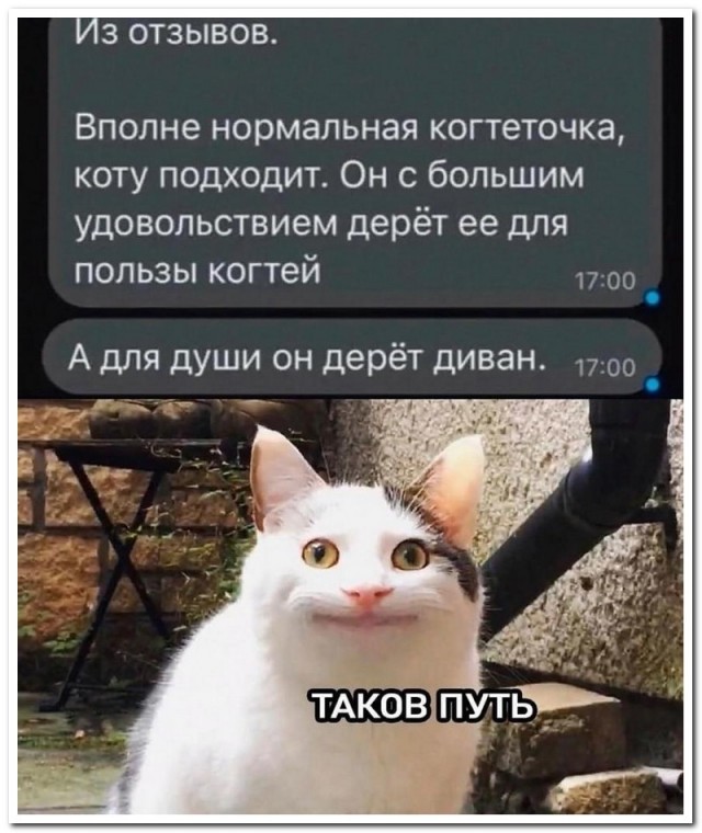 Куча мала баянистых картинок