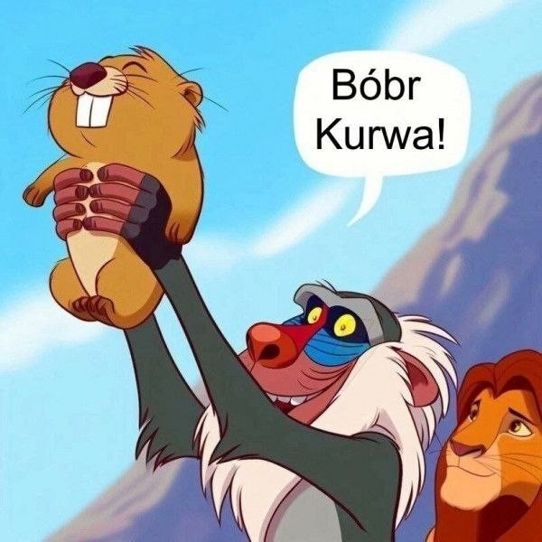 А вы на чьей стороне?