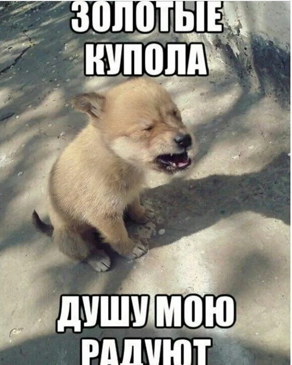 Кто знает что за песня?