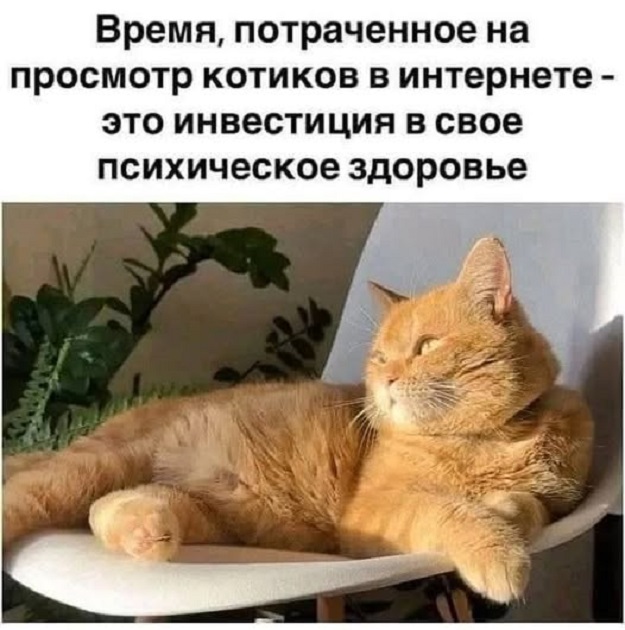 Картинки разные с надписями и без
